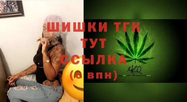 дмт Пересвет