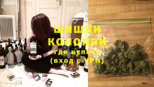стаф Аркадак