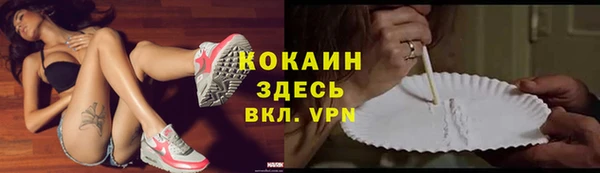 стаф Аркадак