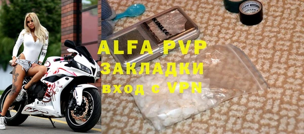стаф Аркадак