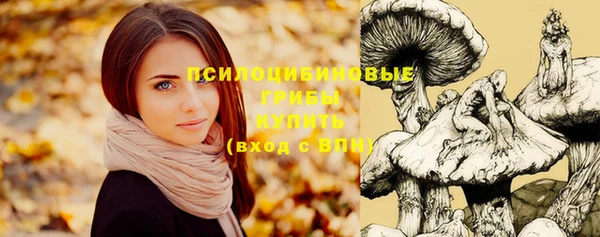 крисы Балахна