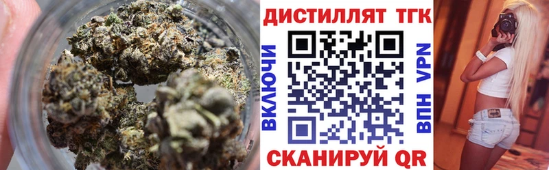 ТГК концентрат  купить закладку  Стародуб 